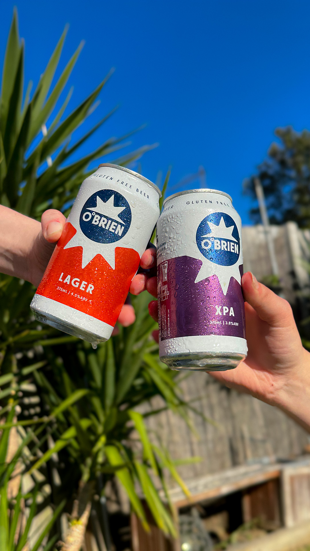 Obrien - Gluten free Beer - Worthy